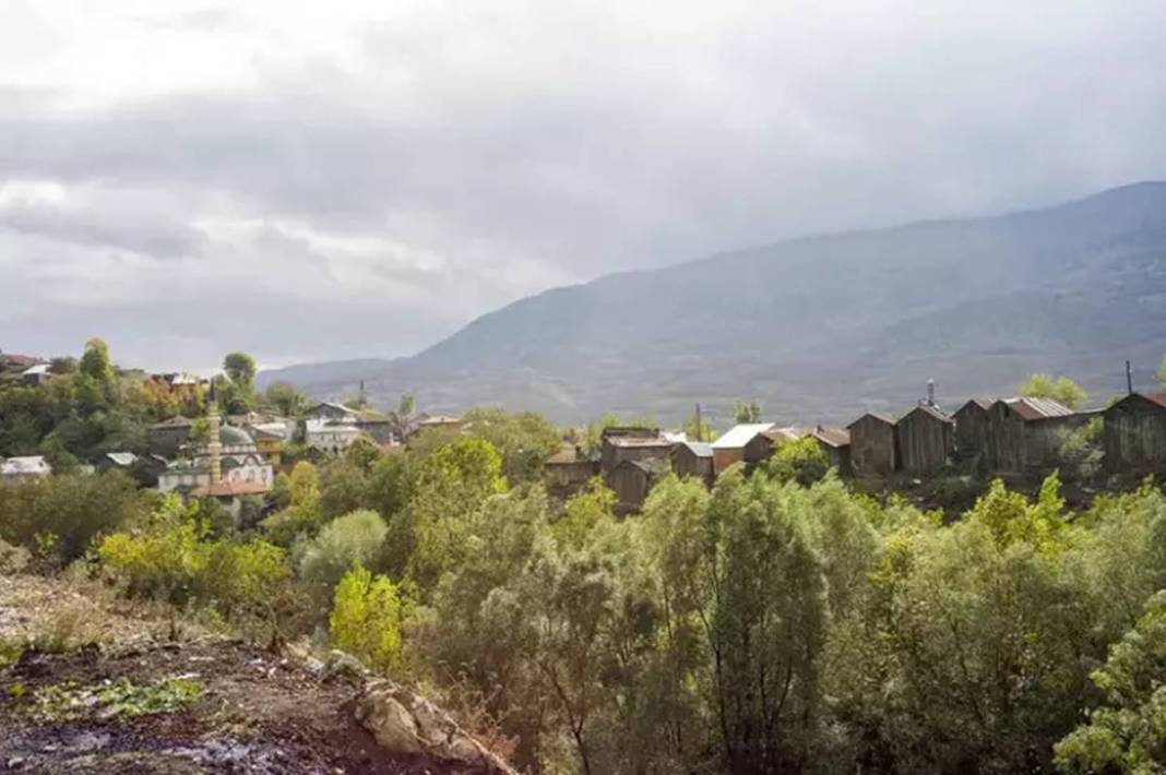 İstanbul'dan ayrılan bu kente yerleşiyor: Üzüm, ceviz, kiraz, patates hepsi yetişiyor! Ülkenin en verimli ikinci ovası burada 15